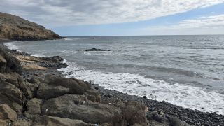 2025-01-GC-Playa_Carpinteras-39.jpg